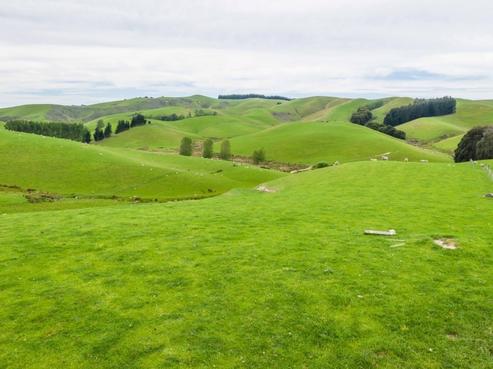 47 Hurunui Mouth Road, Domett