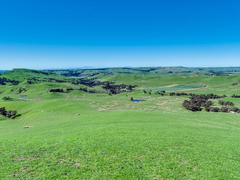 22 Nelson Road, Maraekakaho