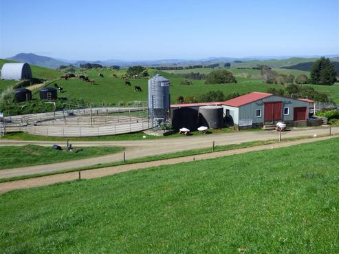 546 Ngutunui Road, Otorohanga