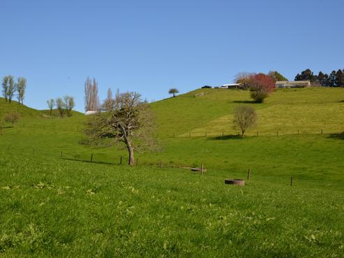 95 Veale Road, Otorohanga