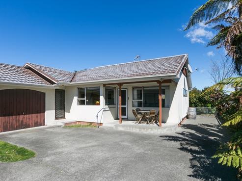 20A Douglas Mclean Avenue, Marewa