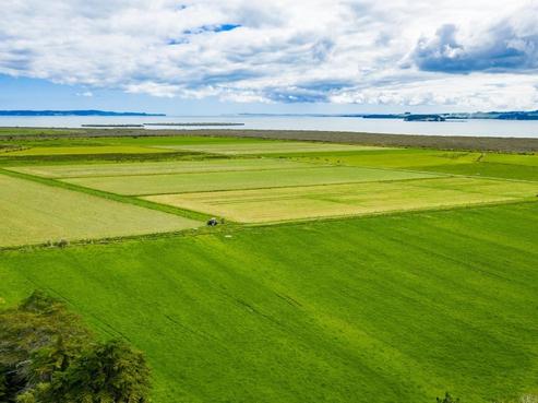 3435 Kaipara Coast Highway, Kaipara Flats