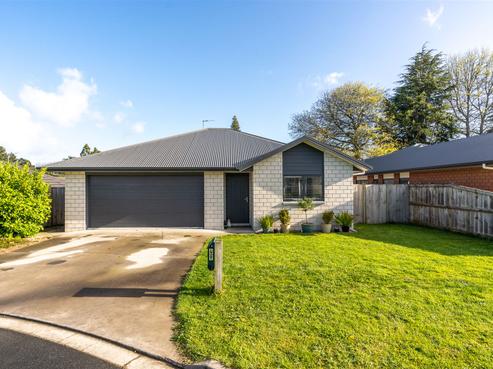 49 Tupelo Street, Pukete