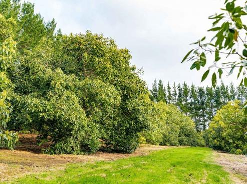 232 Simons Road, Poroti