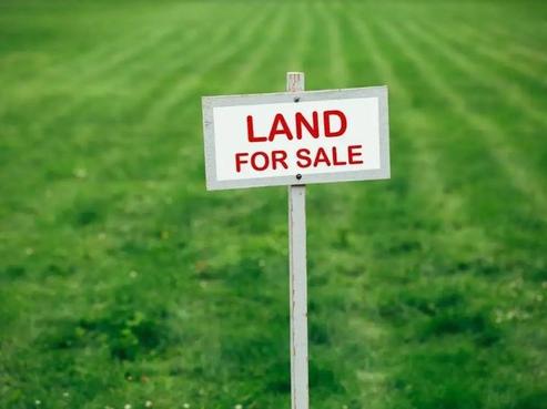 6 Anda Place, Karaka
