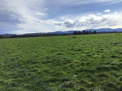 64 Haymans Road, Waimate