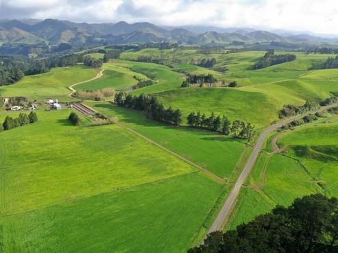 296 Gundries Road, Norsewood