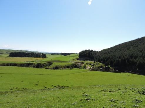 622 Farm Road, Waipukurau and Surrounds