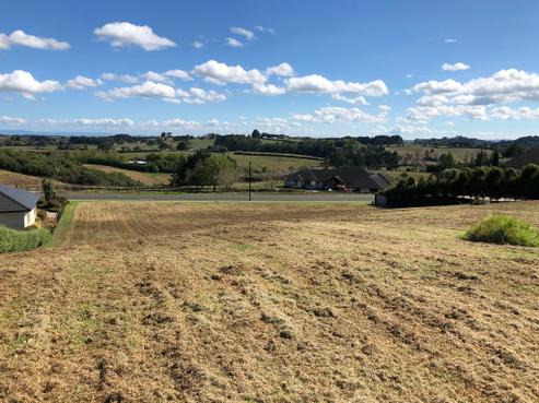 12 Grace James Road, Pukekohe