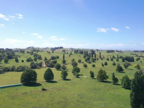 1287 Te Kawa Road, Otorohanga