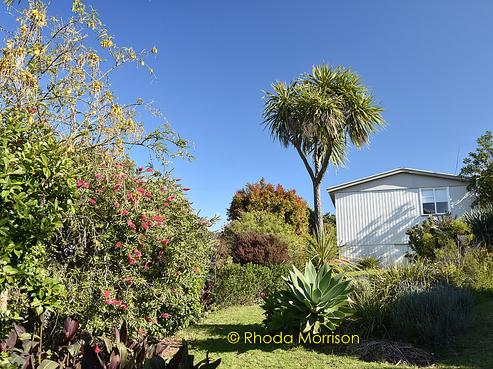 42 Sandy Beach Road, Tinopai