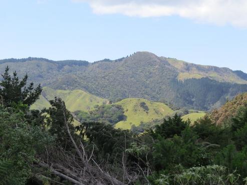 154 Wood Road, Coromandel Coast