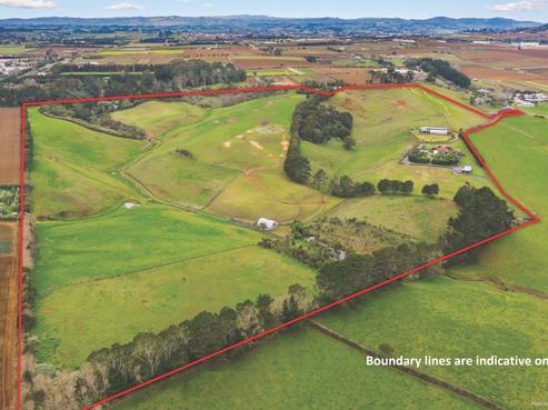 124 Rogers Road, Puni
