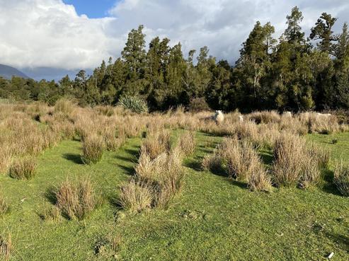 13 Tahutahi Road, Haast