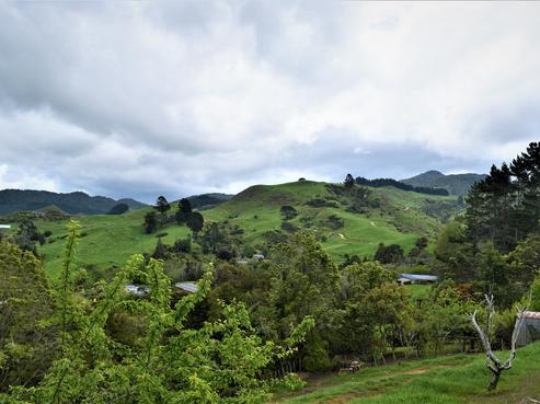 99 Bulltown Road, Waihi