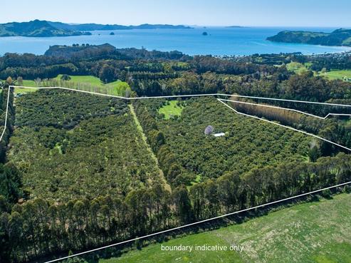 1047M Purangi Road, Cooks Beach