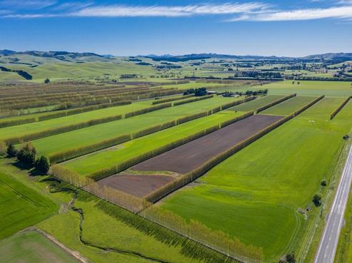 37 Omihi Station Road, Waipara