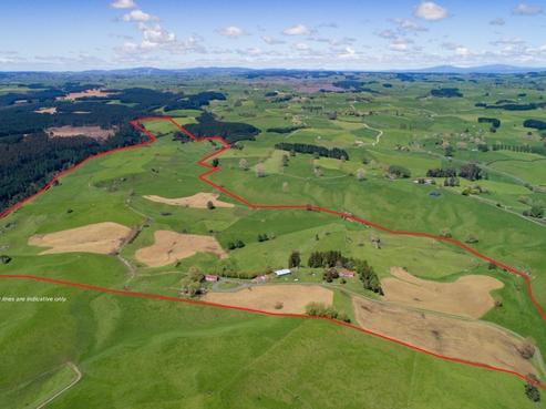 53 Worth Road, Putaruru