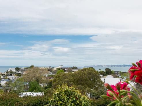 6 Cobden Lane, Napier Hill