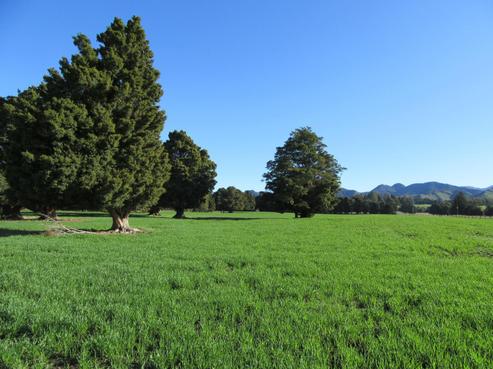 410 Ellison Road, Takapau