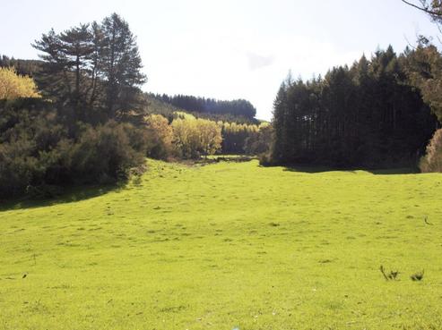 2028 State Highway 5, Whakarewarewa