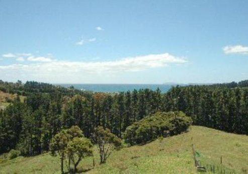 1220E Te Rerenga Kuaotunu Road, Kuaotunu
