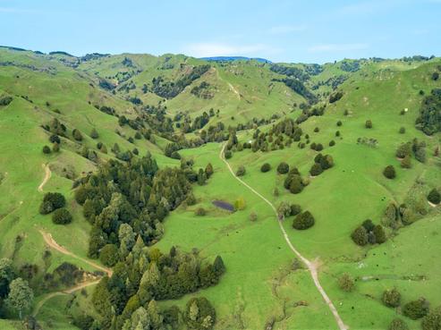1729 Kawautahi Road, Owhango