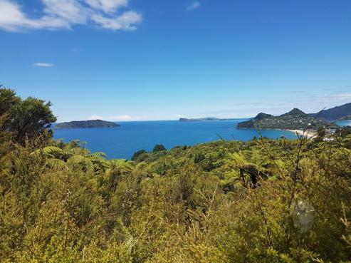 135 Pumpkin Hill Road, Tairua