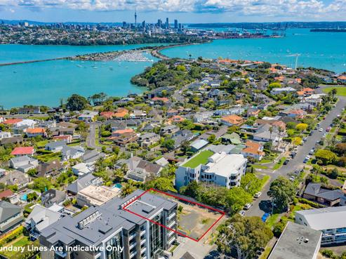 27 Coates Avenue, Orakei