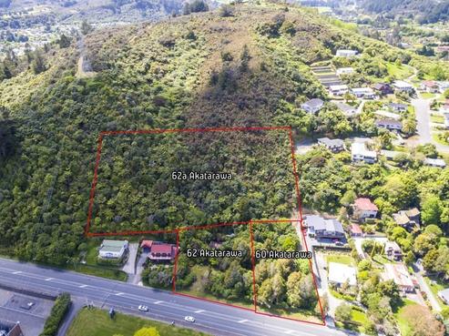 60 Akatarawa Road, Brown Owl