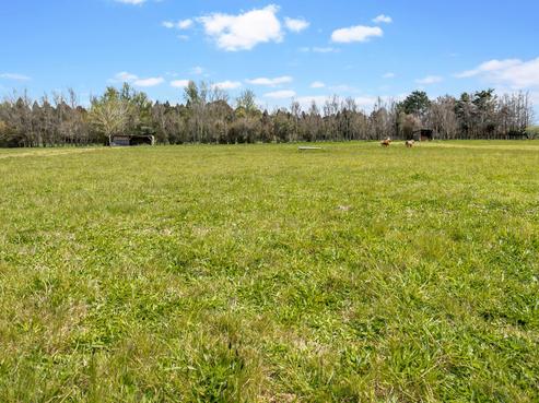 141 Park Estate Road, Rosehill