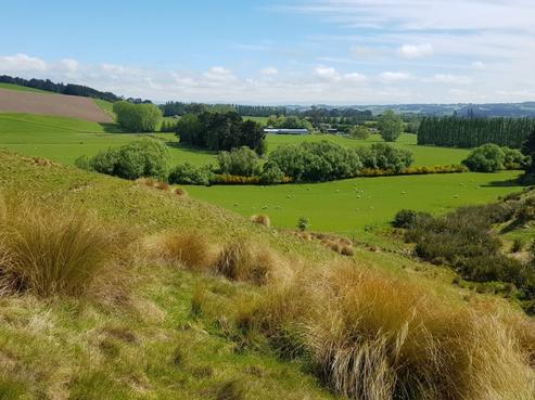 541 Remote Road, Milton