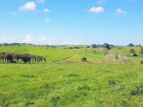 38 Birch Road, Ruawai
