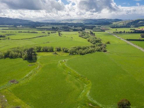 1166 Scargill Valley Road, Scargill
