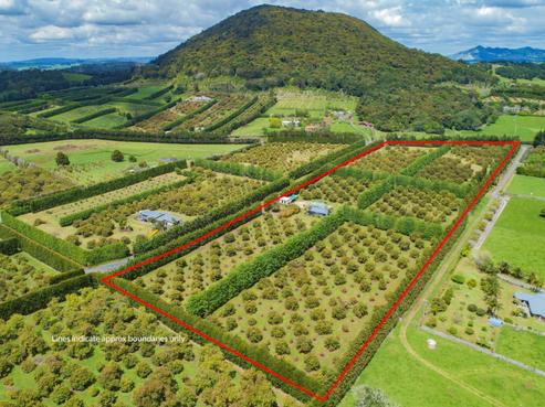 27 Watrous Downs, Maungatapere