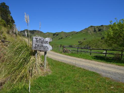 4491 State Highway 3, Awakino