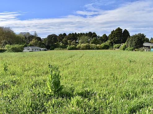 228 Mill Road, Otaki