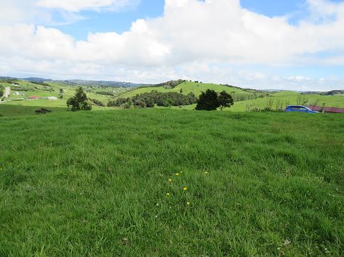 134 Heatley Road, Whakapirau