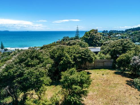 18 Tiri View Road, Palm Beach