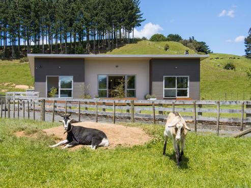 21 Franklin Road, Waihi