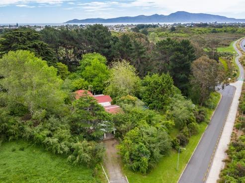 41 Rongomau Lane, Raumati South