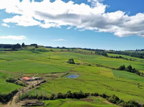 300 Hawkston Road, Hastings Country