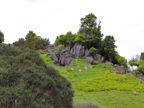 3226 Hauturu Road, Waitomo