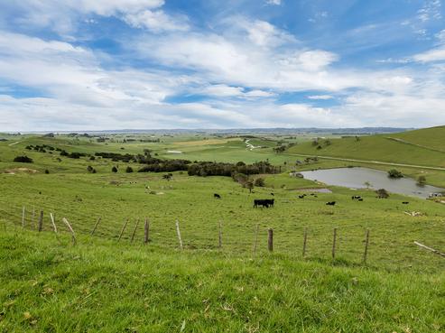 336 Wallace Road, Ruawai