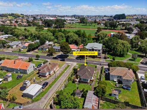 12 Gifford Avenue, Mount Roskill