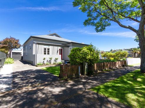 20 Mcdonald Street, Napier South