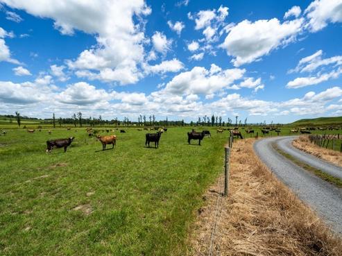 360 Manuel Road, Morrinsville