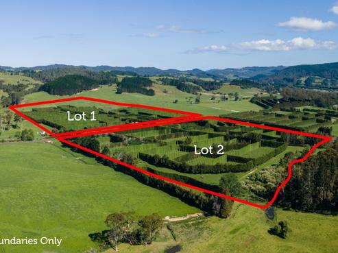 203 Hot Water Beach Road, Whenuakite