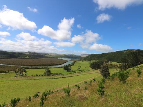 160 Rangikohu Road, Herekino