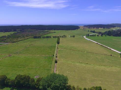 465 Te Arai Point Road, Te Arai